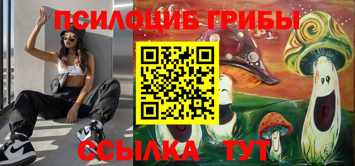Тутаев  Галлюциногенные грибы Psilocybe  где найти   Вход с VPN 