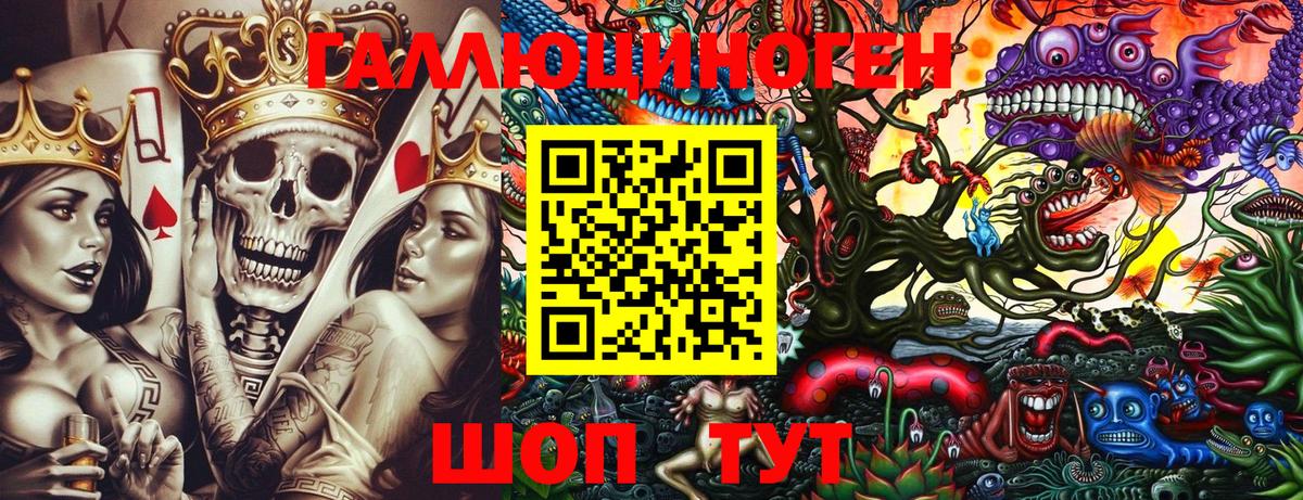 Псилоцибиновые грибы Cubensis Тутаев